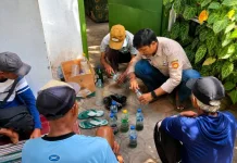 Poktan Pancer Tirto II Perkuat Pengendalian Hama Tikus