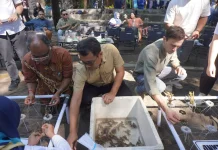 Bangsring Underwater Jadi Contoh Ekonomi Biru Tingkat ASEAN