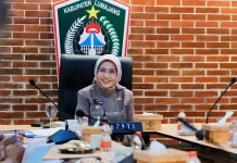 Bupati Lumajang Siapkan Penataan PKL Berbasis Data