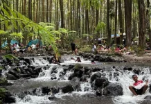 Ribuan Wisatawan Padati Kalipinusan Poncosumo