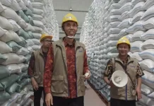 Penyerapan Gabah Petani Tembus 106 Persen