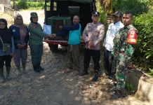Lutung Jawa "Momon" Dievakuasi dari Rumah Warga di Bondowoso