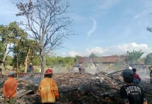 Kebakaran di Botolinggo Hanguskan Tiga Rumah, Kandang dan Dapur Turut Hangus