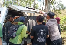 Polisi Temukan Evakuasi Mayat tanpa Identitas di Kebun Kopi