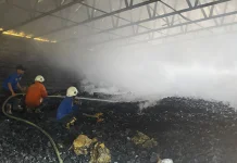 Pabrik Arang di Tlogosari Terbakar, Kerugian Ditaksir Ratusan Juta