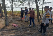 Warga Yosowilangun Lumajang Digemparkan Dengan Temuan Bayi
