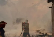 Lima Rumah Ludes Terbakar di Tamanan, Pemkab Bondowoso Siapkan Perbaikan dan Bantu