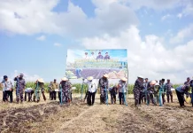 TNI AL dan Banyuwangi Perluas Tanam Kedelai 1.200 Hektare