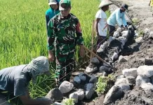 Gotong Royong Bangun Irigasi, Dukung Produktivitas Sawah Kebonsari