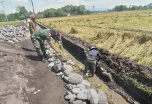TNI dan Poktan Bangun Drainase Irigasi Sawah Lumajang