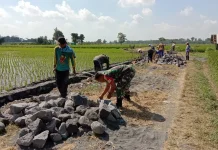 Drainase Baru Permudah Pengairan Sawah di Desa Grati