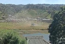 Petugas Gabungan Padamkan Api di Gunung Bromo Melalui Darat dan Udara