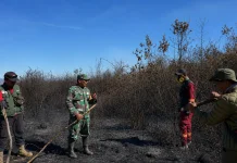 Tim Gabungan Padamkan Api di Kawasan Argosari Lumajang