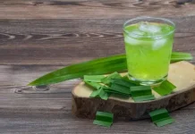 Manfaat Air Pandan untuk Kesehatan