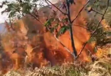 Angin Kencang Picu Kebakaran Lereng Bromo Meluas