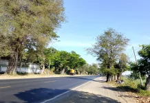 Warga Keluhkan Lampu PJU Jalur Pantura Gelap Gulita