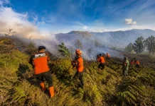 TRC Lumajang Bergerak Tangani Karhutla di Kawasan B29