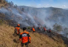 Akses Bromo dari Senduro Ditutup Sementara akibat Karhutla