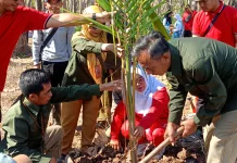 Tanam Ribuan Pohon Buah, Lindungi Hutan dari Erosi