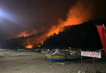 Kebakaran Hanguskan 6,5 Hektare Hutan Gunung Watangan Jember