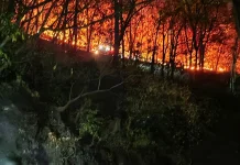 Arak-arak Kembali Terbakar, Damkar Berjibaku Padamkan Api