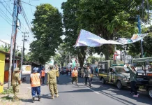 Pemkab Jember Tertibkan Puluhan Baliho dan Spanduk Tak Berizin