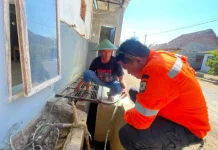 BPBD Jember Pantau 812 KK di Tiga Kecamatan Terdampak Kekeringan