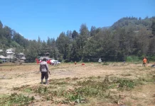 Petugas Gabungan di Lumajang Melakukan Monitoring Pasca Karhutla