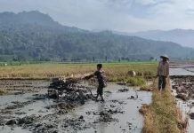 Petani Tempursari Lumajang Maksimalkan Produksi Pertanian