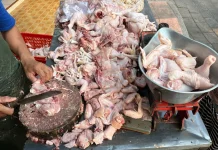 Harga Ayam di Banyuwangi Tembus Rp36 Ribu perkilogram