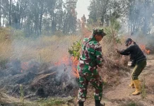 Karhutla Melanda Lereng Gunung Ijen, Api Merembet ke Kawasan Perhutani