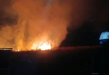 Kebakaran Lahan di Kawah Wurung Bondowoso Capai Hektaran, Nyaris Merembet ke Kebun