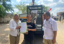 Warga Bondowoso Serahkan Elang Tikus ke BKSDA, Ingin Kembali ke Habitatnya