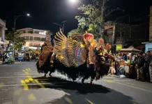 Barong Banyuwangi Curi Perhatian di Kebumen Fest 2026
