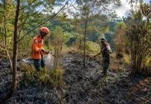 Petugas Berhasil Padamkam Api di Bukit Sentong Ranupani