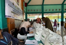 Jaga Stabilitas Pangan, Bulog Bondowoso Salurkan Bapang Kepada Masyarakat