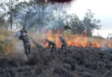 Kawah Wurung Kembali Terbakar, Api Menjalar ke Selatan dan Jadi Insiden Ketiga
