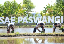 Tiga Kali Tanam Padi, Lapas Banyuwangi Perkuat Pembinaan Warga Binaan