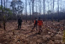 TNI, Bitakol, Intensifkan Patroli Cegah Kebakaran Hutan Baluran