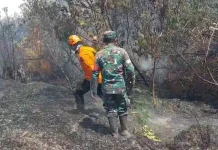Petugas Gabungan Temukan Titik Api di Ranupani Lumajang