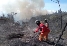 Petugas Gabungan Berupaya Padamkan Api di Kawasan TNBTS