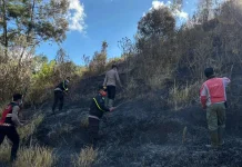 Karhutla Semeru Belum Padam, 172 Pendaki Dievakuasi Selamat