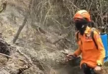 Water Bombing 12 Rit Diterjunkan untuk Padamkan Api di Kawasan Ranupani