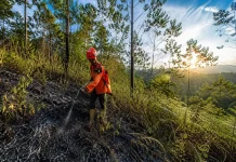 Musim Kemarau, BPBD Lumajang Ingatkan Warga Waspadai Sumber Api di Kawasan Rawan