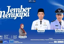 Tradisi Karapan Sapi Wringin Kembali Dihidupkan