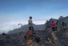 Tim Gabungan Cegah Terjadinya Kebakaran Lanjutan pada Kawasan TNBTS