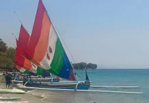 Perahu Layar dan Ayam Sap-sap Hibur Pengunjung