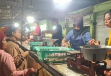 Harga Daging Ayam di Situbondo Turun Rp4.000