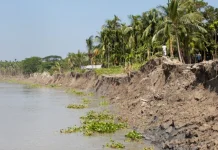 Konservasi Tanah dan Air Jadi Upaya Kendalikan Erosi dan Sedimentasi di Jember