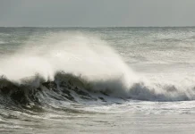 SAR Jember Ingatkan Wisatawan Waspadai Arus Pantai Selatan